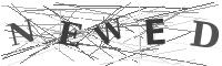 Please refresh your browser to see this image.